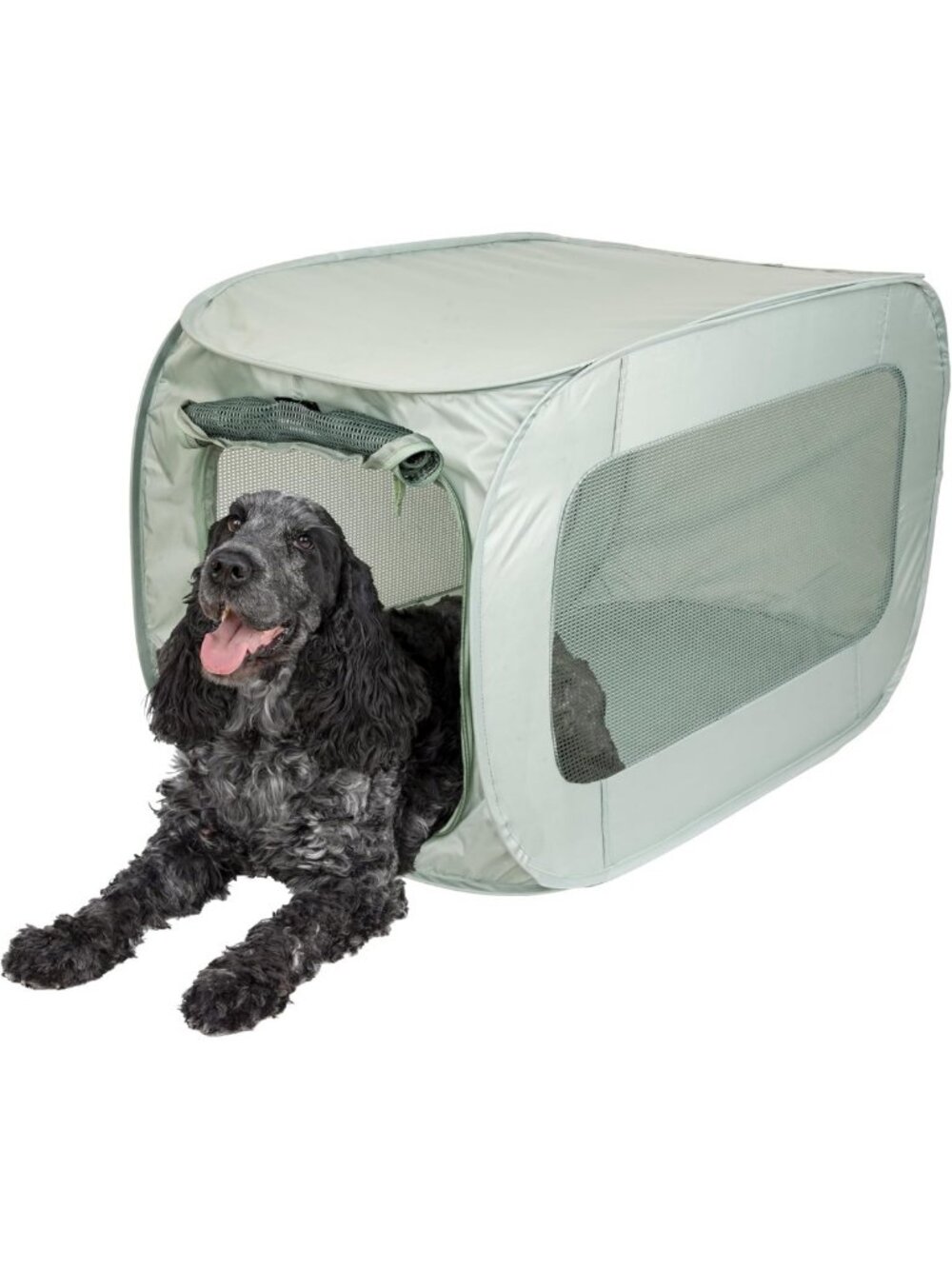 Soft-Sided Pop-Open Pet Kennel, Lightweight & Portable, Light Green Color